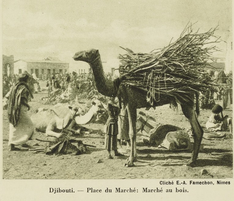 Djibouti dans les années 1910-20 : le marché au bois et ses caravanes de chameaux