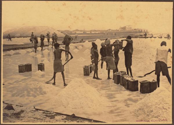 Djibouti. Ramassage du sel aux salines 1922