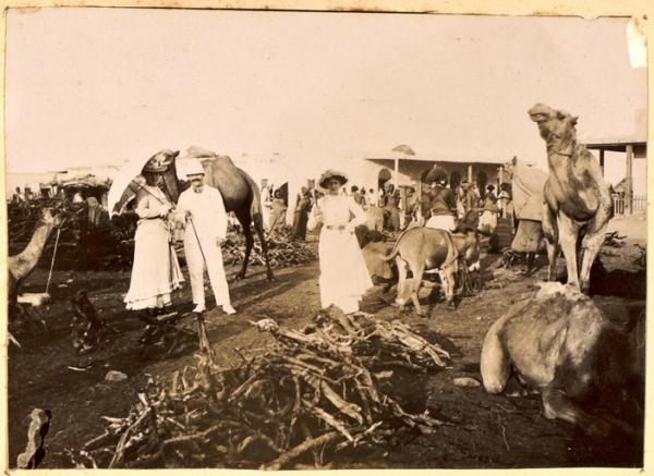 Djibouti. Marché aux chameaux 1899